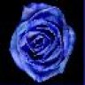 Sapphire Rose