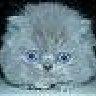 pixter