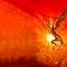 arodace