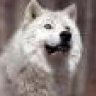 WhiteWolf