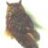 owlcroft