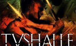 Blade of Tyshalle by Matthew Woodring Stover