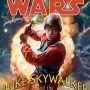 Luke Skywalker and the Shadows of Mindor by Matthew Woodring Stover