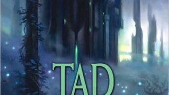 SHADOWRISE by Tad Williams