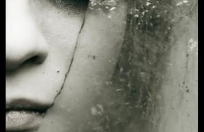 Dickinstein by Shannon Yarbrough