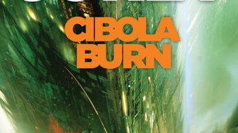 Cibola Burn by James S.A. Corey (The Expanse #4)