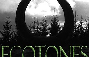 Interview with Ken Liu, Lauren Beukes and Tobias S. Buckell