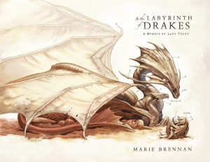 Labyrinth of drakes