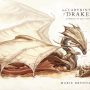 Article: Marie Brennan on Dragons