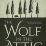 Interview with Wolf in the Attic author Paul Kearney