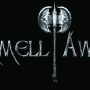 Vote for the Gemmell Awards