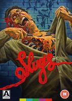 slugs_2d_dvdb