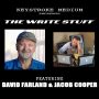 The Write Stuff featuring David Farland and Jacob Cooper