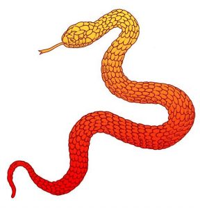 snake