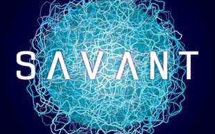 Interview with Savant author Nik Abnett