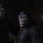 Article: Now that the Planet of the Apes Trilogy Has Ended, What Does It All Mean?