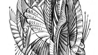 Article: Exploring the Ecological Weird, Part I