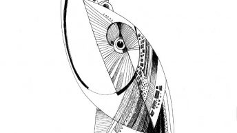 Exploring the Ecological Weird, Part 3