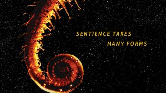 SEMIOSIS by Sue Burke