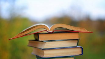 Summer Genre Reading Suggestions 2020