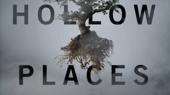THE HOLLOW PLACES by T. Kingfisher
