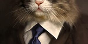 STARTER VILLAIN by John Scalzi